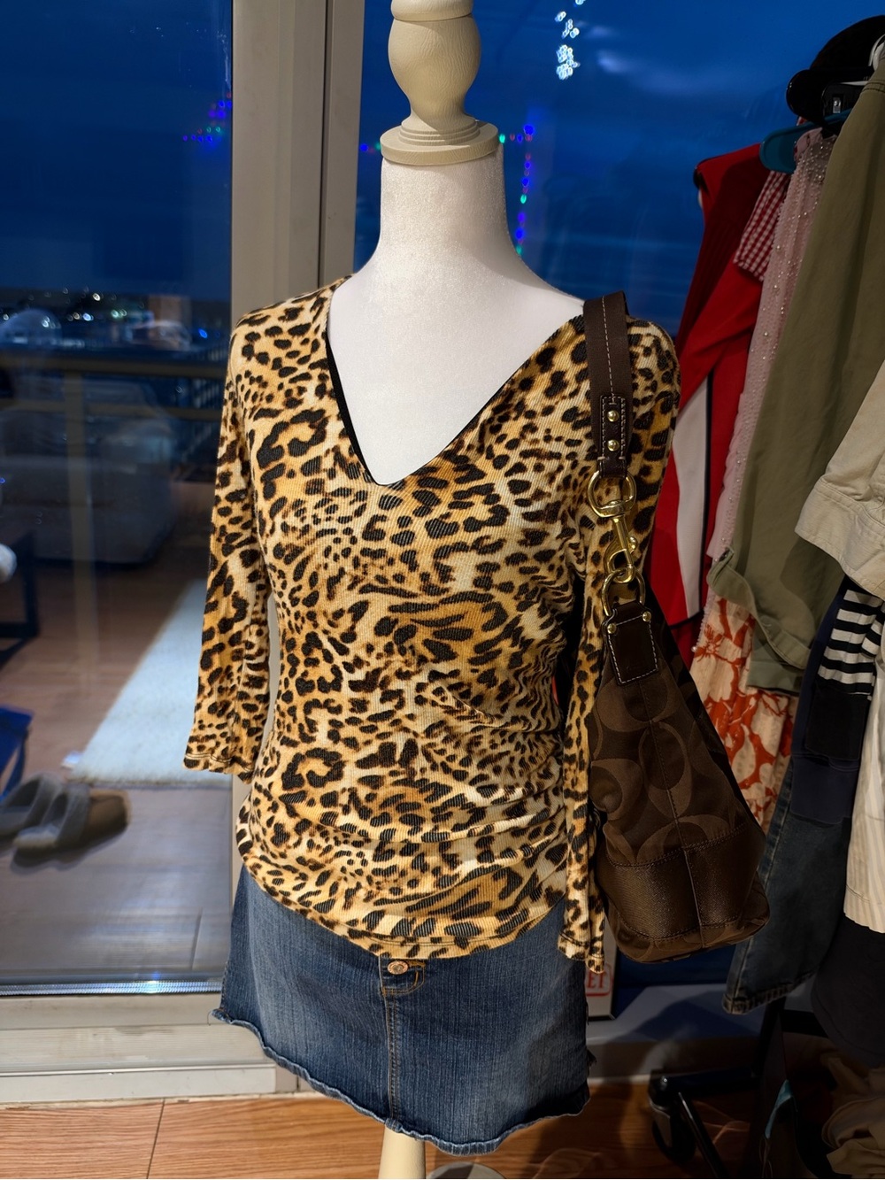 Women's Leopard Print V-Neck Long Sleeve Top - Brown/Black